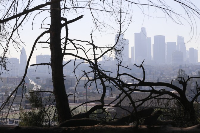 The Los Angeles skyline is seen through burned trees on Dec. 14, 2017, after a brush fire erupted in the hills in Elysian Park in Los Angeles.