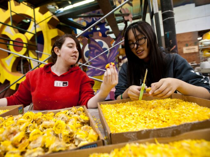 Sarah Helman, left, and Nicole Sunga cut flowers for the City of Hope float. The two said they would spend their evening in the Rosemont Pavilion working on the float.