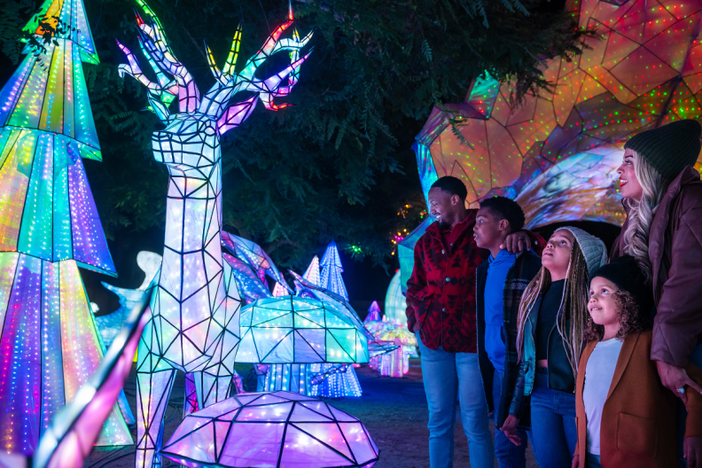 Four people look at animal-shaped lantern lights at the LA. Zoo.