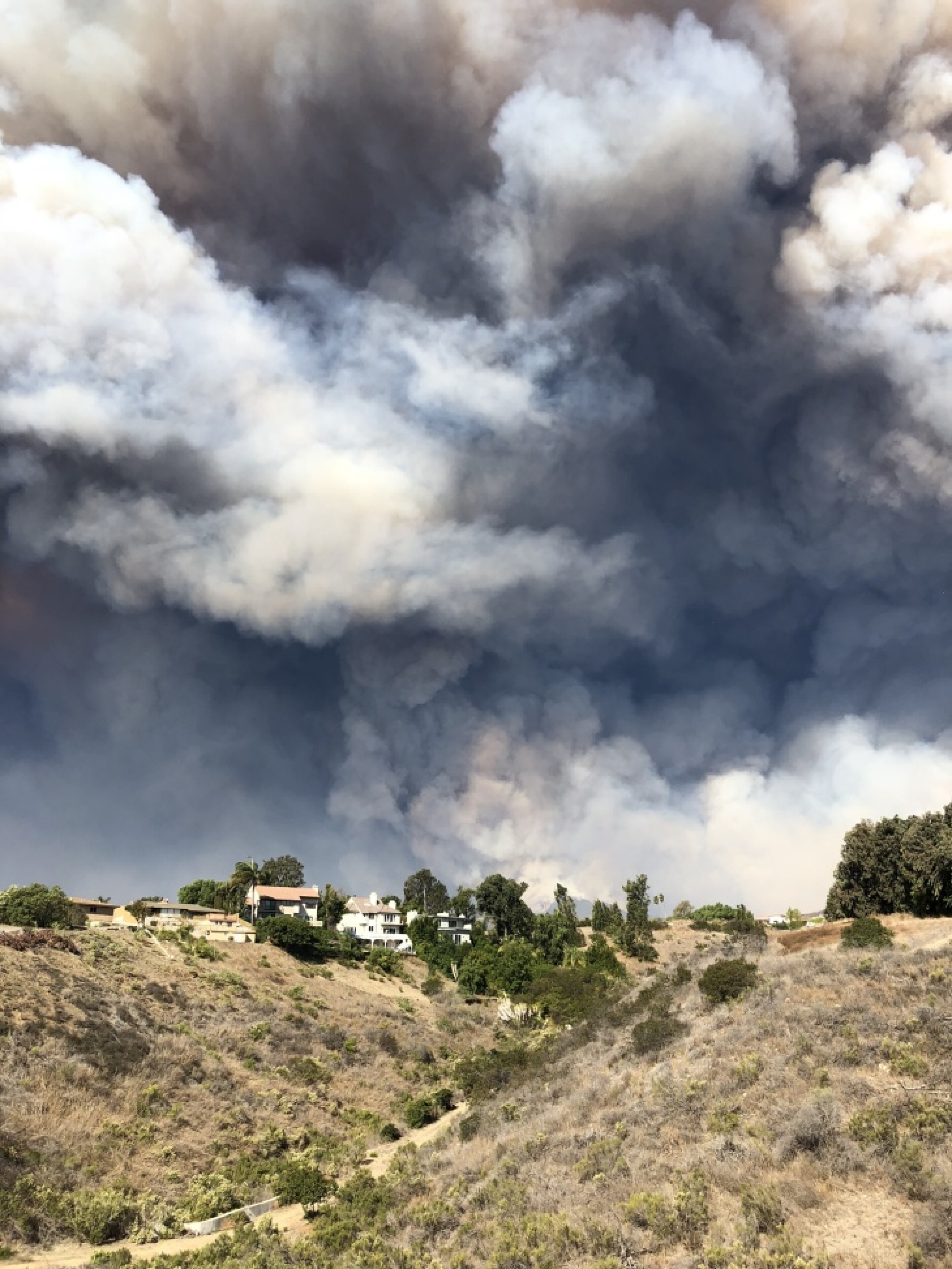 Malibu Fire Victims Share Their Stories | LAist