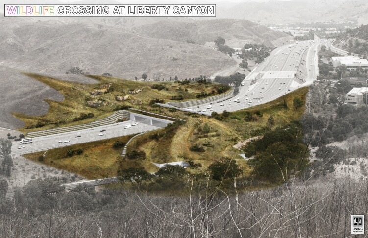 An artist's rendering shows a wide green passageway over many lanes of highway.