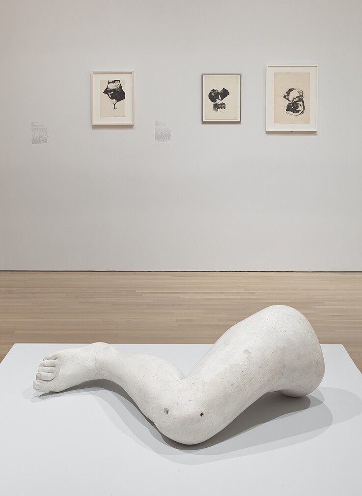 Installation view of Alina Szapocznikow: Sculpture Undone, 1955--‐1972, Hammer Museum, Los Angeles, February 2012. 
