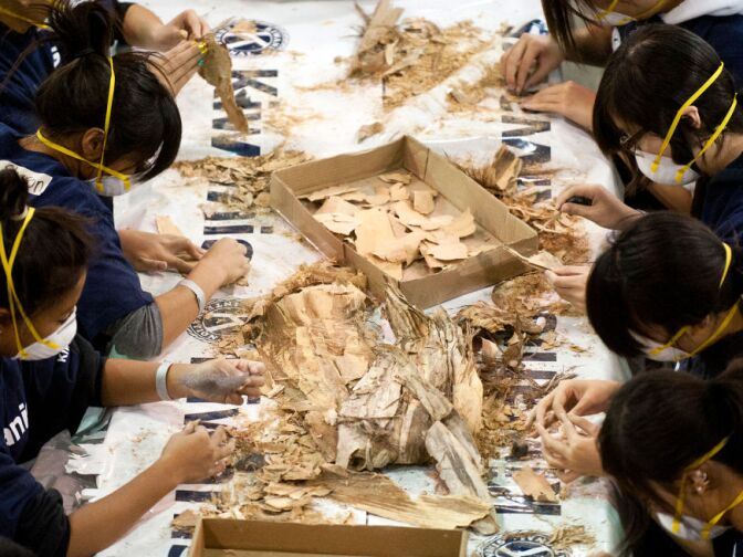 Qi Yang, left, and her classmates from Shore High School volunteer with Kiwanis International to pull apart pieces of bark for a float.