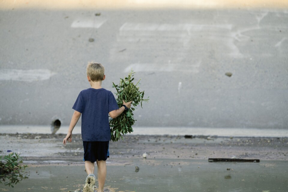 A child with light skin tone holds a bunch of plants in one hand as he walks towards a concrete channel.