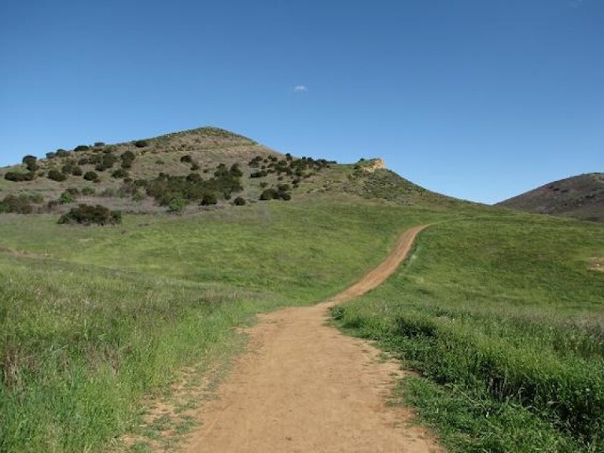 conejo.jpg