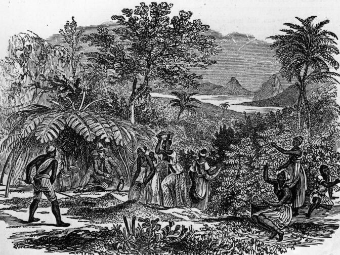 An overseer sits in the shade while workers collect coffee beans on a Brazilian plantation, circa 1750.