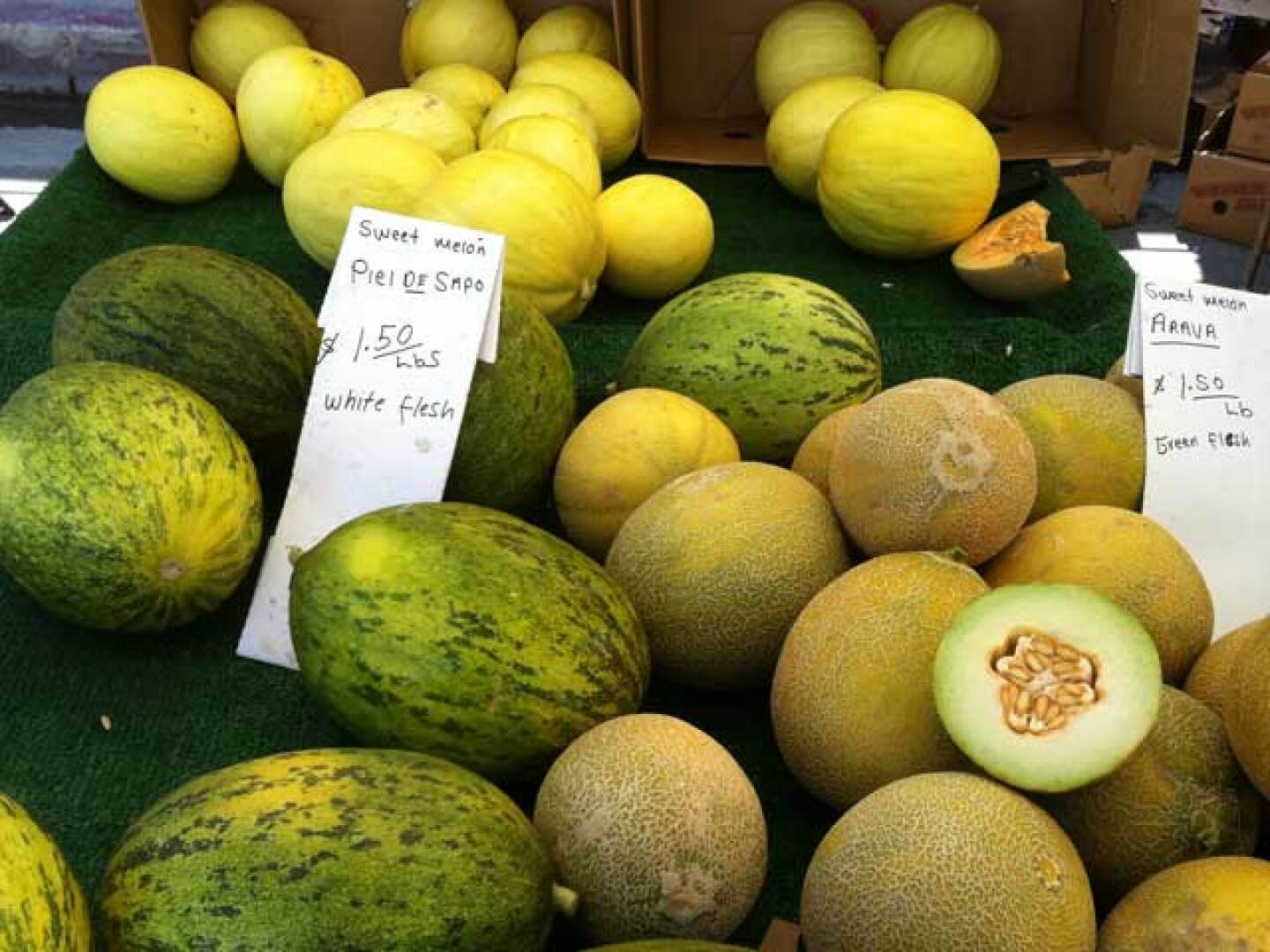 hp_muskmelons.jpg