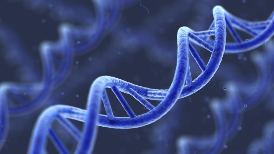 An artist's representation of DNA.