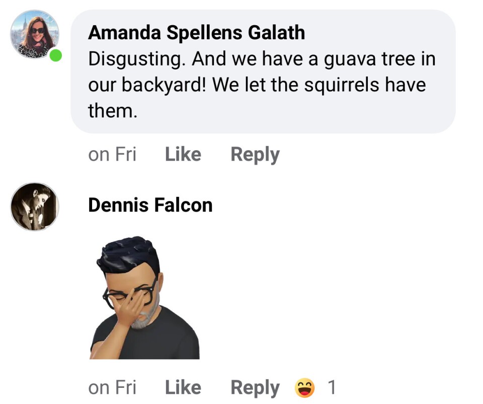 An illustration of a Facebook comment section where people call guavas disgusting.