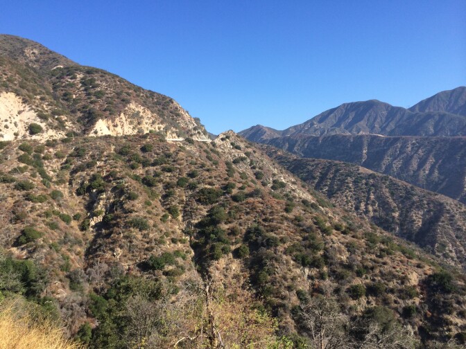 The Angeles National Forest in the San Gabriel Mountains is recovering five years after the Station Fire burned a quarter of the forest.