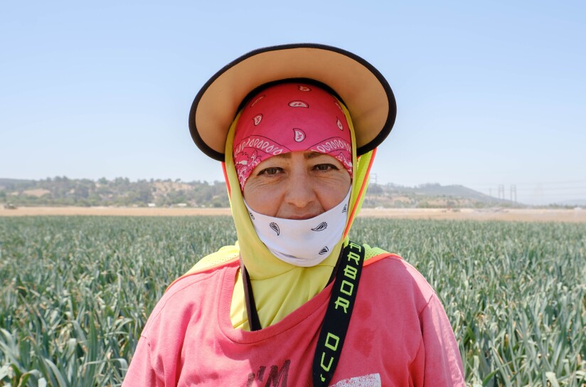 A picture of farmworker Sonia Bonce in the middle of a field of leeks on a 90 degree day at Muranaka Farms in Moorpark, CA.
