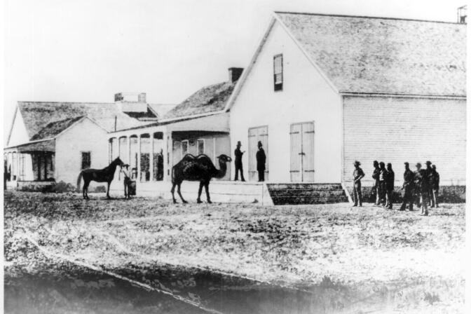 A black and white view of the U.S. Army Headquarters at Wilmington. The building is of wood and has large doors. In front of the building is a camel with two humps, a person holding the reins of a horse, a group of people standing in the front yard.