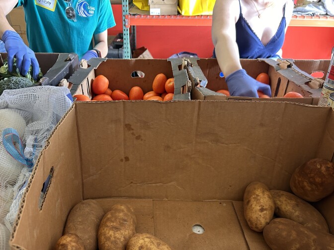 The arms of two volunteers reach into boxes of tomatoes and broccoli. A few potatoes sit in a box in the foreground. 