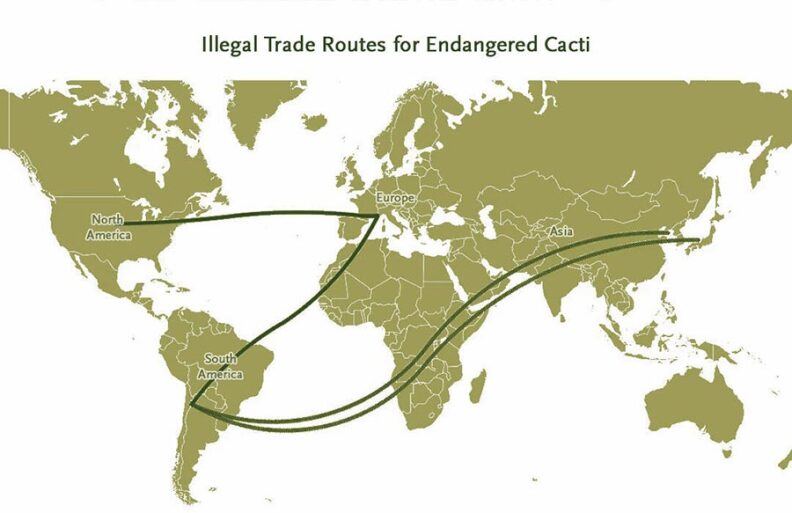 A map shows a route from the US to Europe and multiple routes from South America to Europe and Asia.