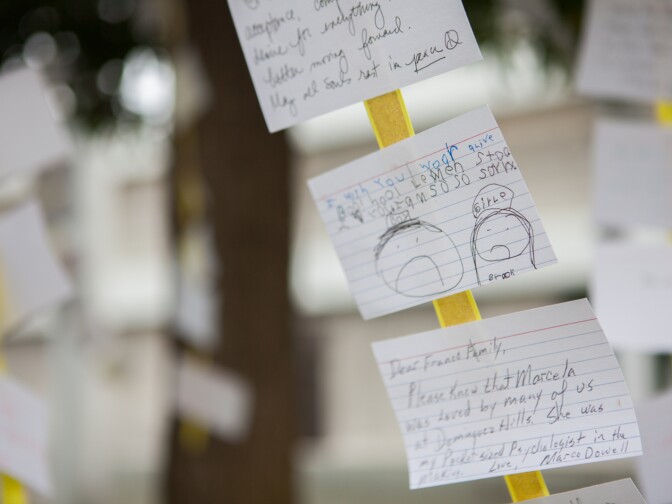 Notes line the trees outside the library at Santa Monica College on June 11th, 2013.