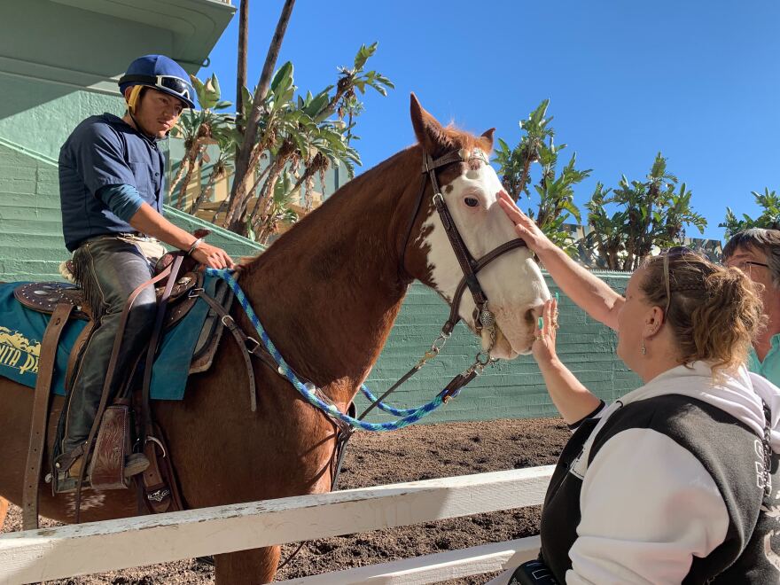 Racehorse “Rojo” getting congrats from spectators at the outside of the winner's circle.