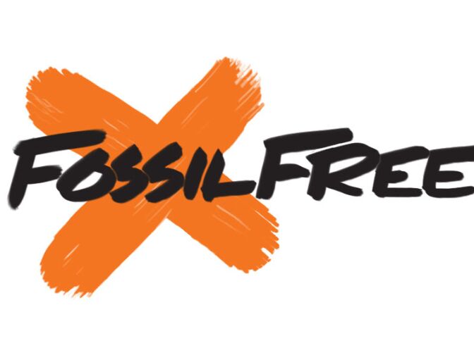 Author and activist Bill McKibben has worked with anti-climate change group 350.org to encourage fossil fuel divestment at hundreds of college campuses around the country. 