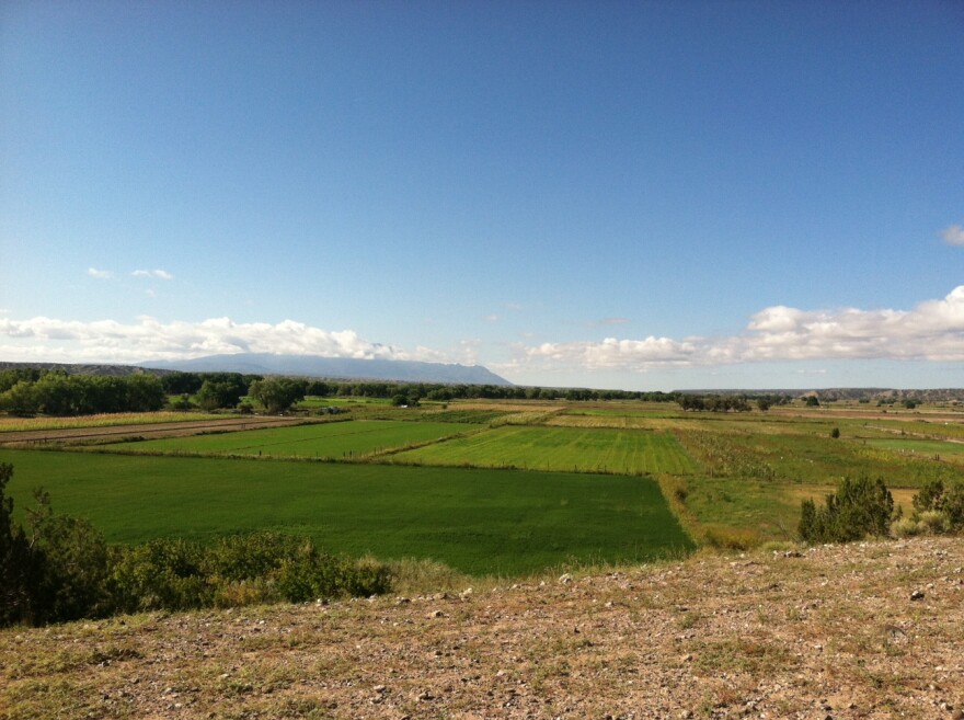 The new irrigation system helps the Santo Domingo Pueblo's water supply go farther. More than 300 acres of farmland that used to lay fallow is now supporting a variety of crops.
