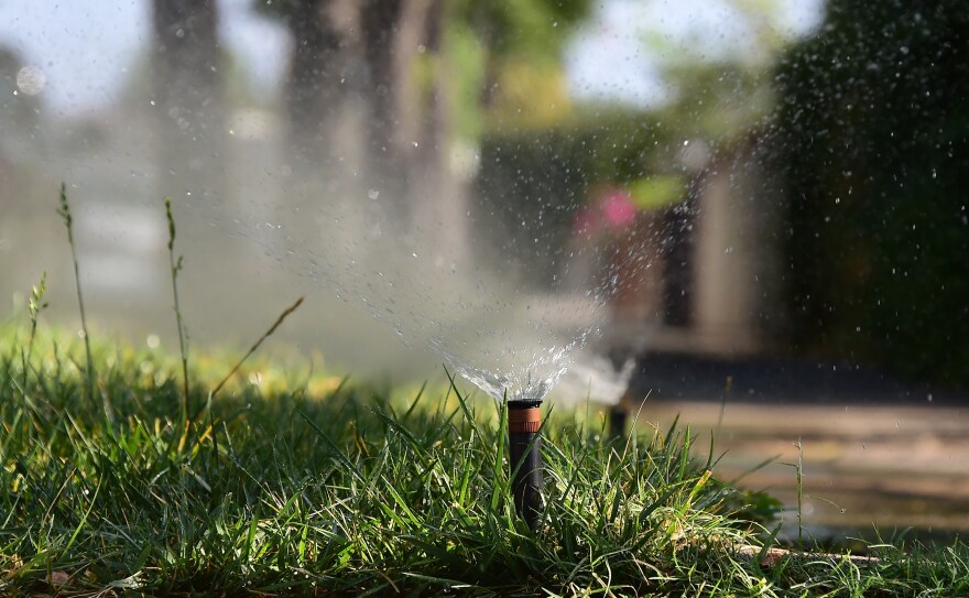A close-up of an active sprinkler in a grassy area.