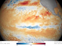 Sea surface temperature in July 2016 compared to the 1981-2010 average. Cooler-than-average waters are present in the central tropical Pacific. NOAA Climate.gov map, based on GEO-Polar data.