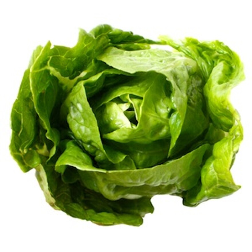 romaine.jpg