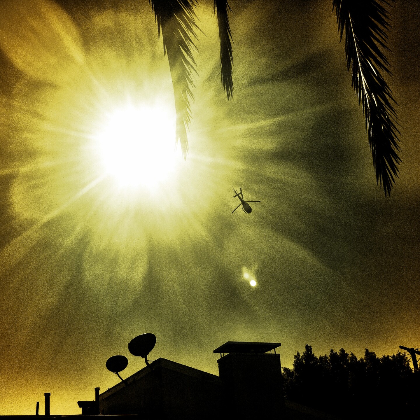 Three symbols of Southern California - the Sun, a police helicopter, and a palm tree - converge in Cypress Park.