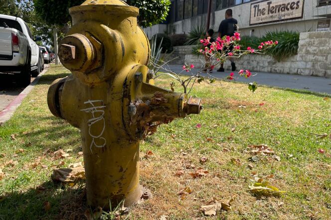 A yellow fire hydrant pictured on a Los Angeles street.