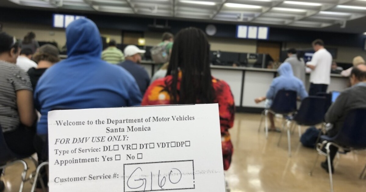 dmv now espanol