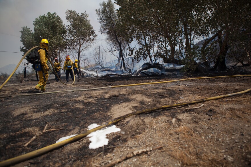 Members of the Oceanside Fire Department fight the Silver Fire  in the mountains south of Cabazon, Calif., on August 7, 2013.