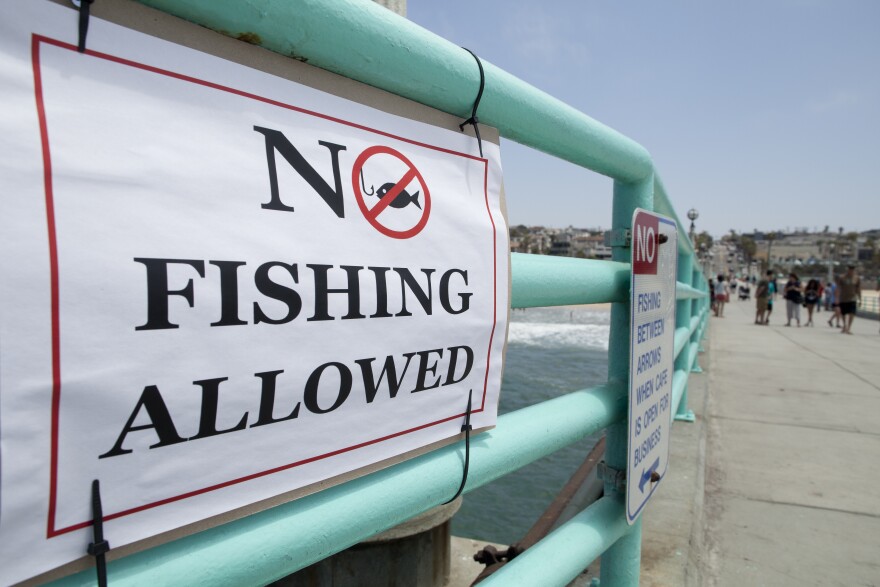 After a juvenile great white shark bit a swimmer, fishing is not allowed on the Manhattan Beach Pier until Sept. 7.