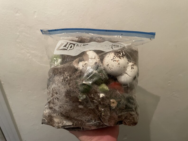 A Ziploc bag filled with organic material, including vegetable scraps, eggshells, and lots of coffee grounds.