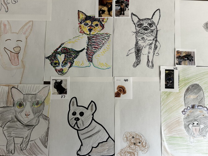 Hand-drawn portraits of dogs and cats in colored pencil and marker next to small reference photos of the pets.