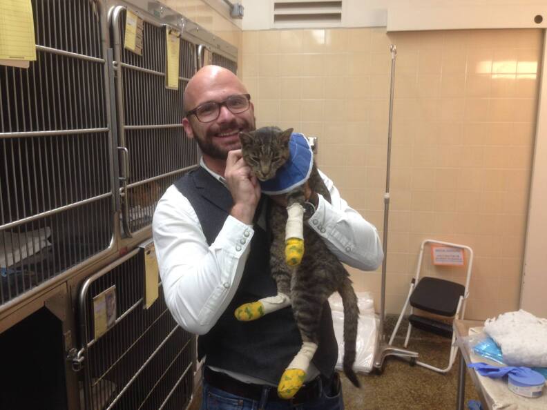 A cat is reunited with its owner after being rescued from the fires in Northern California, September 2015.