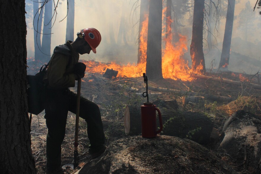 In this photo provided by the U.S. Forest Service, a Hotshot fire crew member rests near a controlled burn operation at Horseshoe Meadows, as crews continue to fight the Rim Fire near Yosemite National Park in California Wednesday, Sept. 4, 2013. The massive wildfire is now 80 percent contained according to a state fire spokesman. The Rim Fire’s southeast flank in Yosemite National Park is expected to remain active where unburned fuels remain between containment lines and the fire. (AP Photo/U.S. Forest Service, Mike McMillan)
