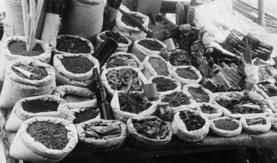 Black and white image of about two dozen sacks of dried herbs.