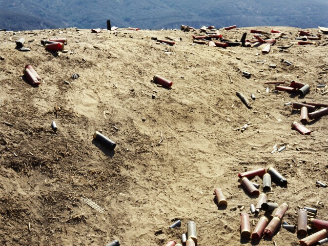 Angeles National Forest #3, 1988, printed 2016; dye destruction print.