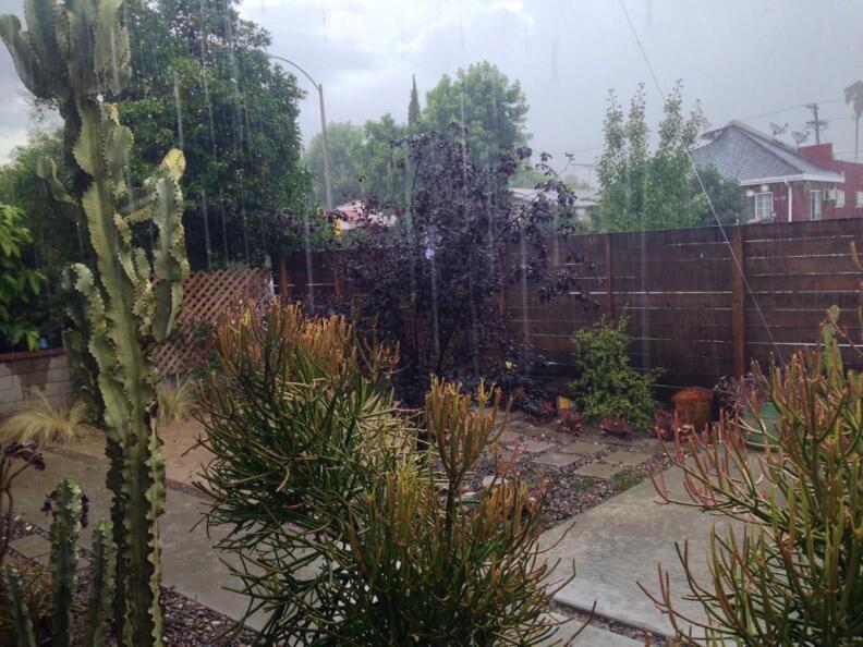 Saturday rain in Atwater Village on Saturday, July 18, 2015.