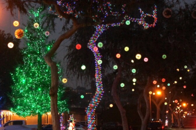 Shimmering balls of light hang from trees on a dark night. String lights are also wrapped around one tree. 