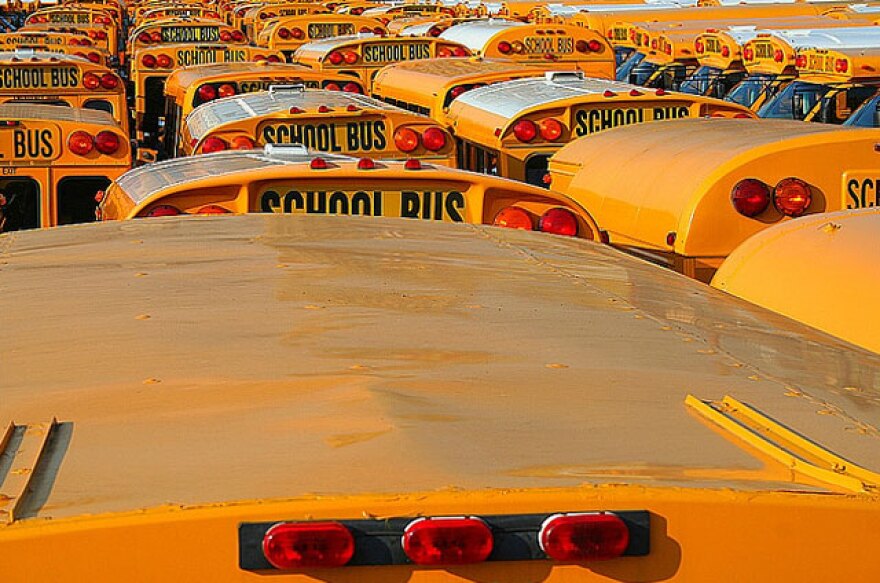 schoolbus.jpg
