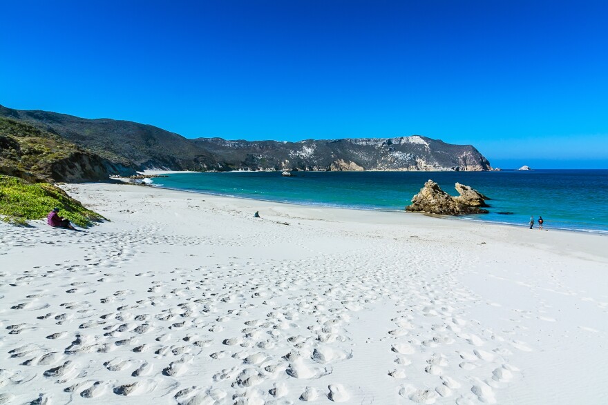A white sand beach on San Miguel Island on Oct. 13, 2012.