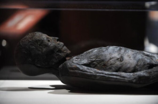 The mummy of a man from Egypt and dated around 408 B.C. is on display at the media preview for the world premiere of the Mummies of the World exhibition, June 30, 2010 at the California Science Center in Los Angeles.