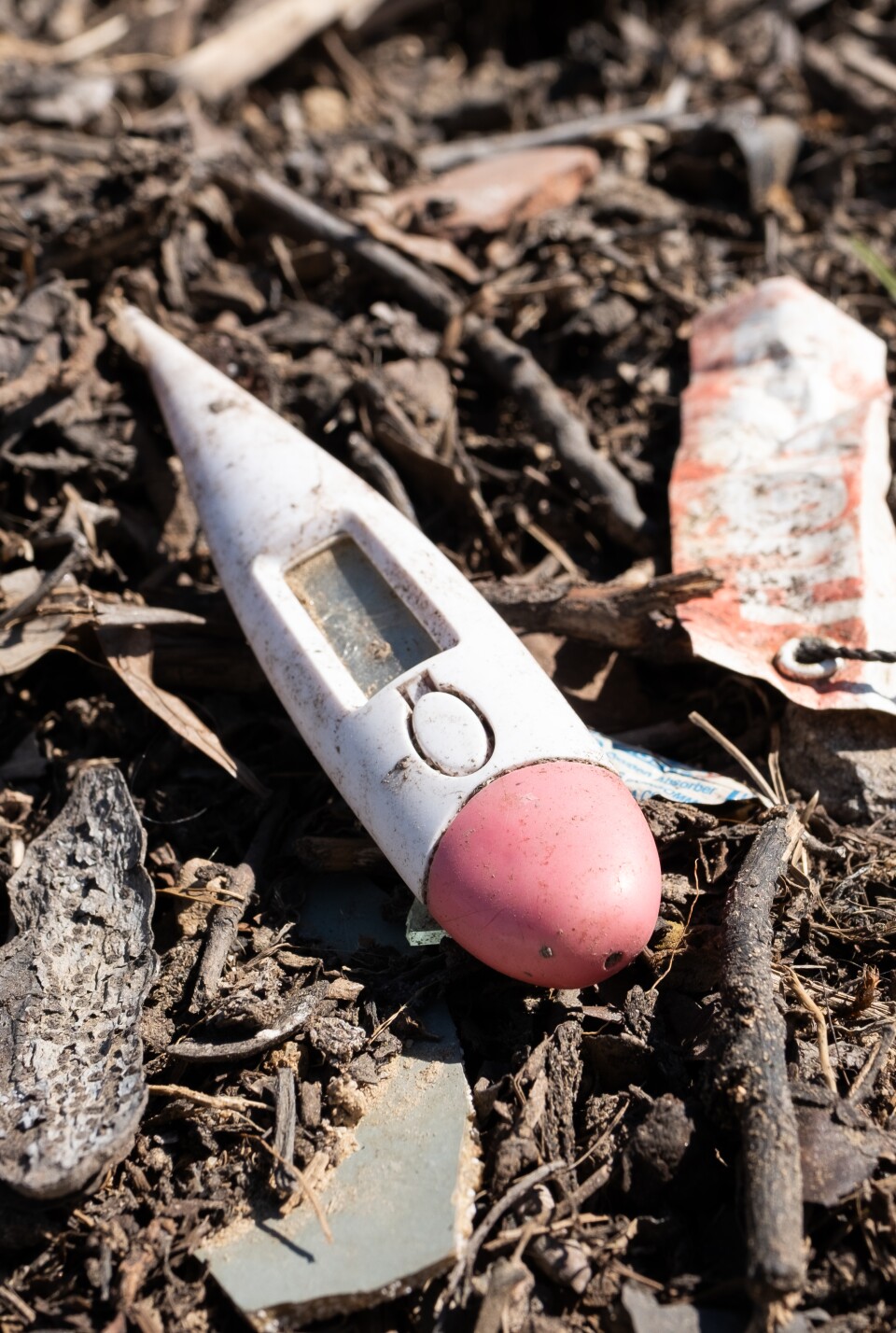 A thermometer with other trash sits in a pile of wood.