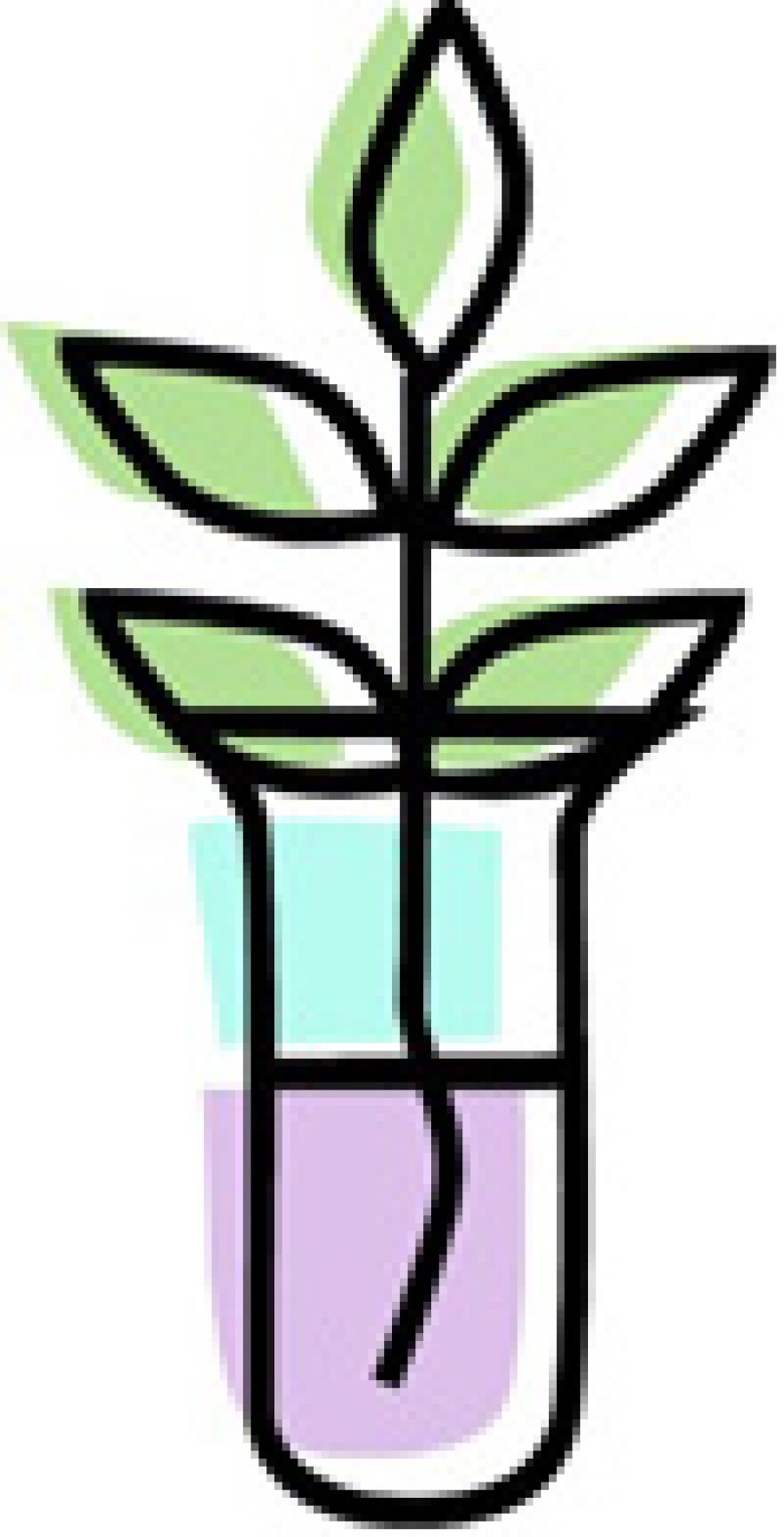 hydroponics.jpg