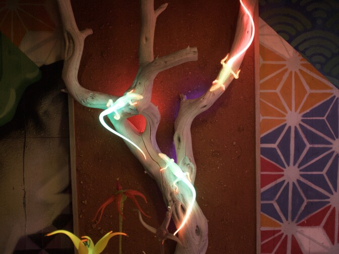 More neon animals? You bet.