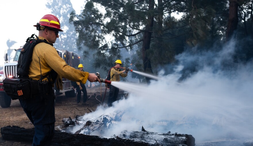 Two firefighters hold hoses as they spray water onto a burning pile of trees. A fire truck can be seen in the background. 