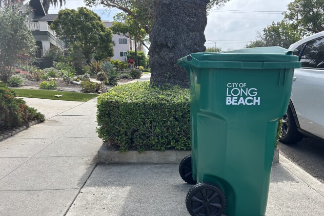 A new green waste bin reads "city of Long Beach" and sits on a sunny sidewalk in an residential neighborhood. 