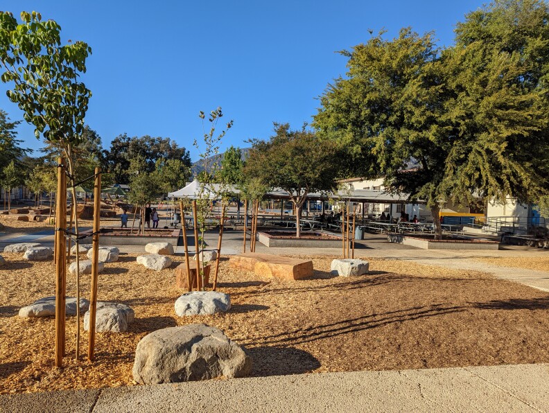 An image of newly planted trees amid mulch and permeable pavement.