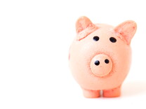 STUDENT LOAN FREEZE