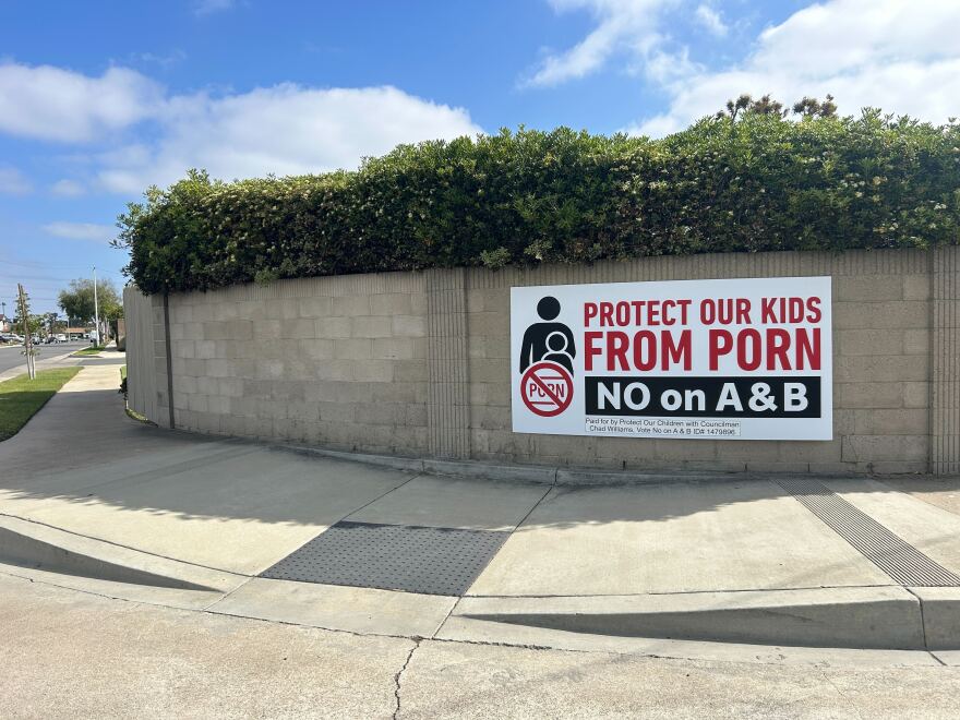 A banner campaign sign reads in big block letters, "PROTECT OUR KIDS FROM PORN" and "NO on A & B."