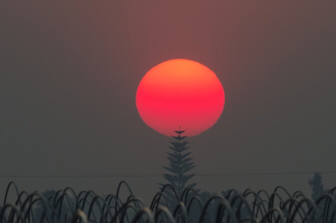 The sun, a deep red/orange from the smoke from the Thomas Fire, sets over an agricultural field in Santa Paula, California, December 12, 2017.
The Thomas Fire, the fifth largest in California history, has burned through 236,000 acres and is 25 percent contained, according to Calfire.   / AFP PHOTO / Robyn Beck        (Photo credit should read ROBYN BECK/AFP/Getty Images)